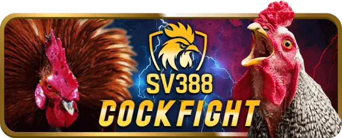 Hình ảnh đá gà Thomo tại fun97